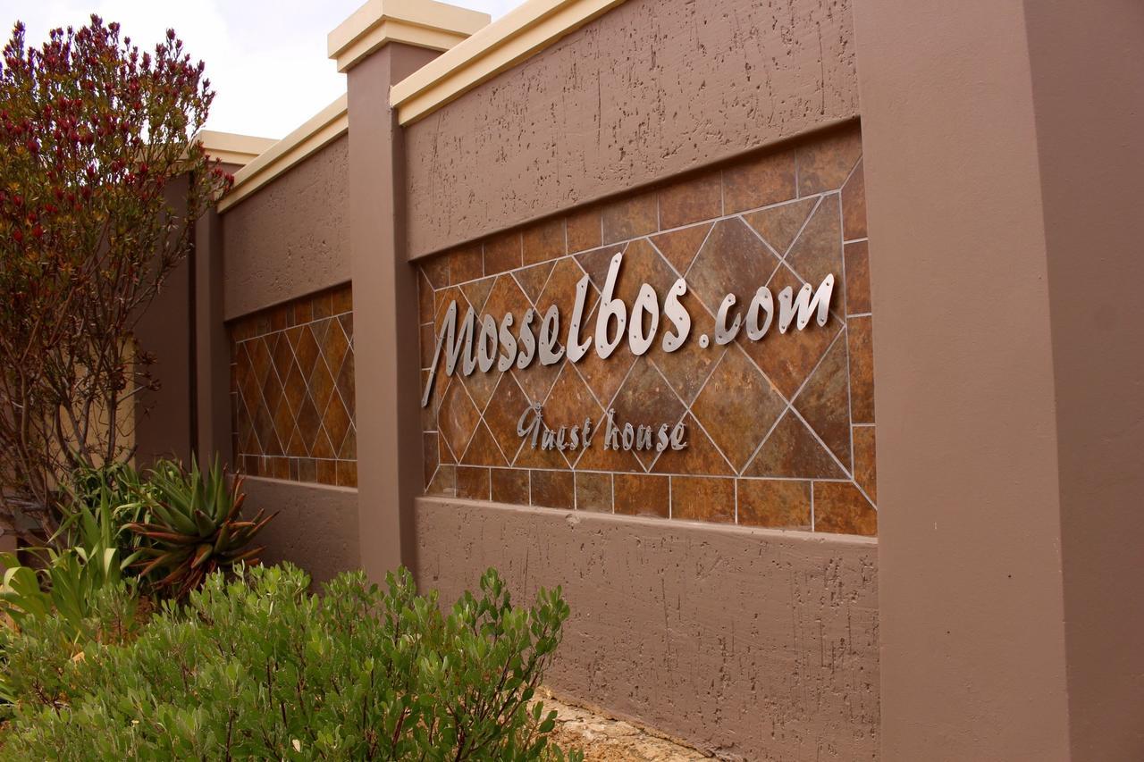 Mosselbos Guesthouse Self-Catering Great Brak River Exterior photo